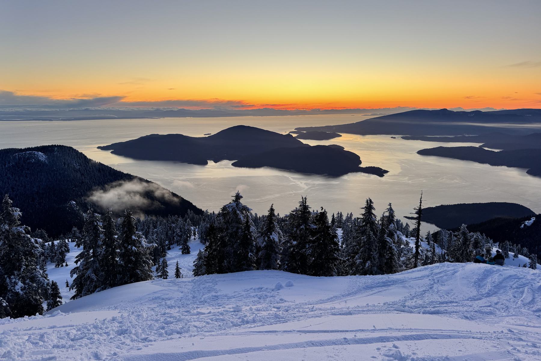 Snowy trees above Howe Sound at sunset, with islands on the water